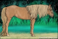 Horse Color:Chestnut  Brindle