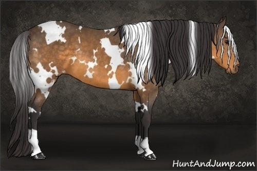 Horse Color: White Spotted Buckskin 