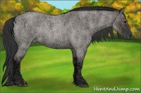 Horse Color:Grullo Ice Roan Rabicano 