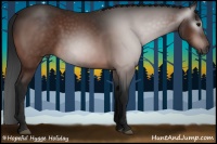 Horse Color:Gray Brown 