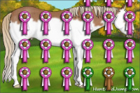 Horse Color:Chestnut Splash Frame Rabicano 