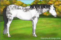 Horse Color:Brown Ice Splash Frame 