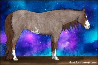 Horse Color:Liver Red Roan Sabino 