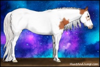 Horse Color:Silver Bay Splash Tobiano Frame 