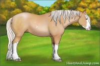 Horse Color:Silver Bay Pearl Sabino Splash 