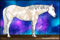 Horse Color:Silver Classic Champagne Dun Sabino Splash 