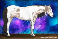 Horse Color:Liver Red Dun Ice Sabino Tobiano 