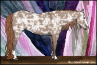 Horse Color:Liver Red Dun Ice Sabino 
