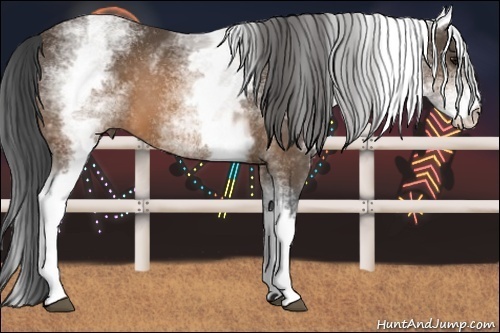 Horse Color: White Spotted Brown 