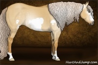 Horse Color:Gray Palomino Dun Frame 