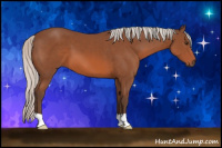 Horse Color:Silver Bay 