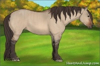 Horse Color:Bay Dun  Brindle