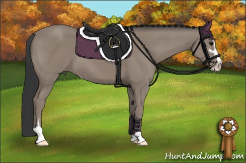 Horse Color: Black Sabino 