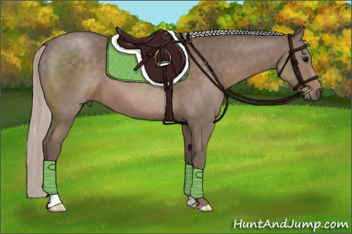 Horse Color: Silver Brown 