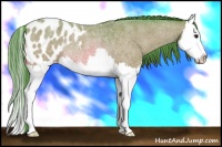 Horse Color:Watercolor Bay Roan Splash Appaloosa Rabicano 