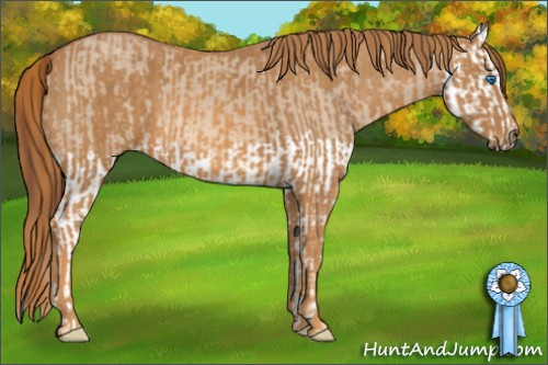 Horse Color: Red Dun Splash  Brindle