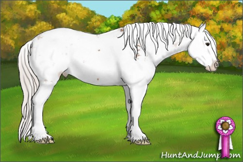 Horse Color: Silver Bay Ice Sabino Splash 