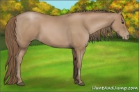 Horse Color:Black Pearl 