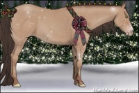 Horse Color:Amber Champagne 