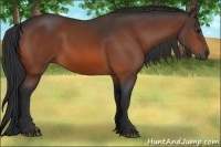Horse Color:Brown 