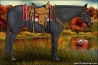 Horse Color:Black Frame 