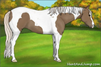Horse Color:Silver Smoky Black Tobiano