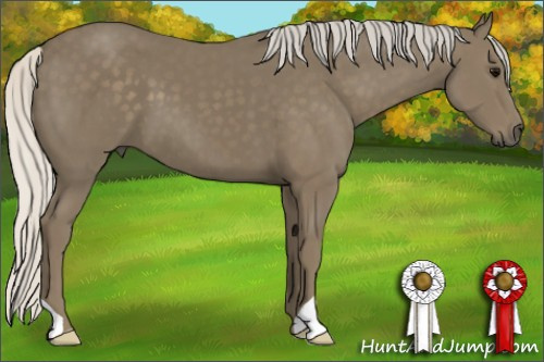 Horse Color: Silver Smoky Black 