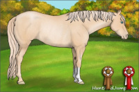 Horse Color:Palomino Pearl Rabicano