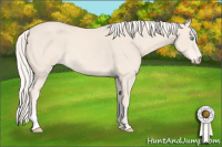 Horse Color:Cremello 