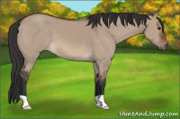 Horse Color:Brown Dun 