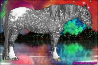 Horse Color:Blue Roan Snowcap 
