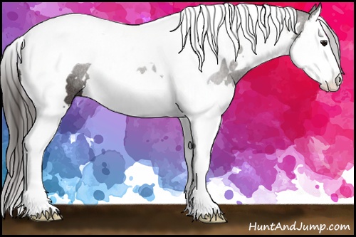 Horse Color: White Spotted Smoky Black Splash Tobiano Rabicano 