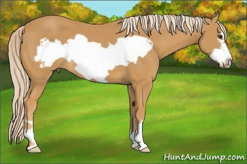 Horse Color:Palomino Frame