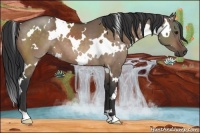 Horse Color:White Spotted Bay Dun