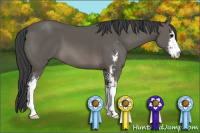 Horse Color:Black Sabino 