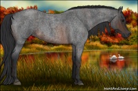 Horse Color:Brown Roan Frame Rabicano  Brindle