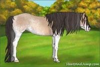 Horse Color:White Spotted Amber Champagne 