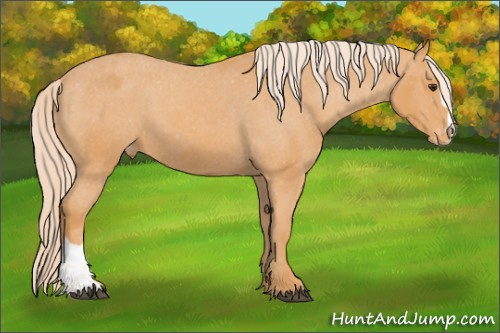 Horse Color: Chocolate Palomino Mushroom Sabino Varnish 