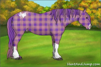 Horse Color:Watercolor Plaid Brown Appaloosa
