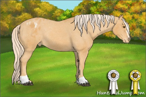Horse Color: Chocolate Palomino Mushroom Sabino Varnish Rabicano 