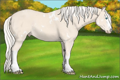 Horse Color: White Spotted Cremello Rabicano 