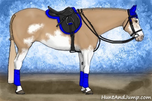 Horse Color:Chestnut Splash Frame
