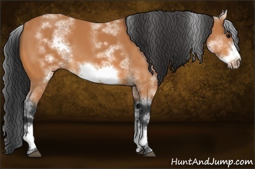 Horse Color:White Spotted Bay Frame 