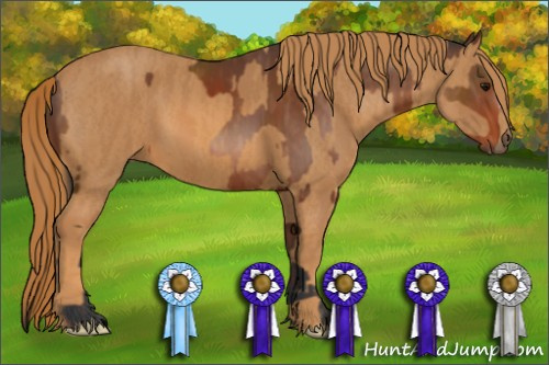 Horse Color: Bay  Brindle