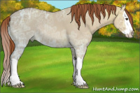 Horse Color:Liver Red Dun Ice Roan Splash 