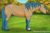 Horse Color:Watercolor Bay 