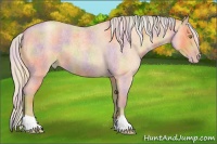 Horse Color:Nacre Silver Amber Champagne Roan 