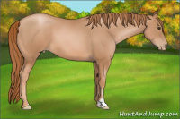 Horse Color:Liver Chestnut Pearl 
