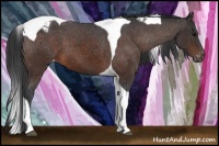 Horse Color:Brown Tobiano Snowcap 