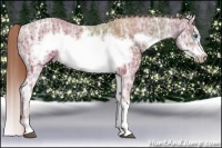 Horse Color:Chestnut Ice Sabino Frame 